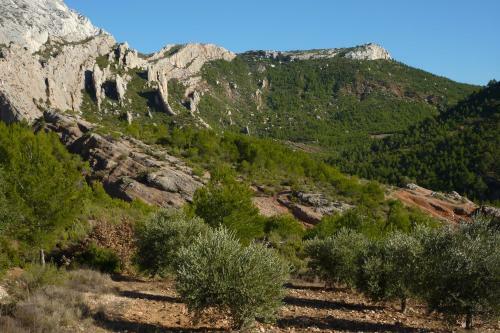 Bed & Breakfast La Ferme