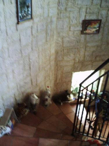 Bed & Breakfast Chez Jos�phine