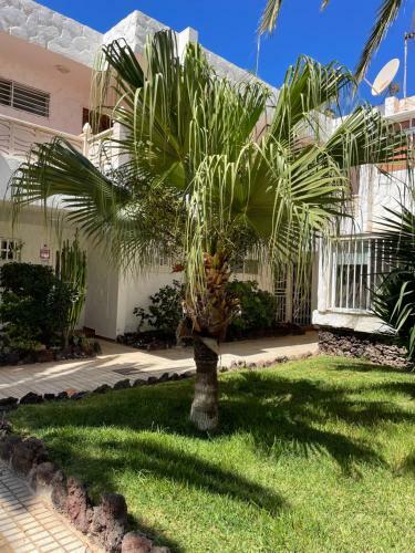Apartamento Oasis Relax