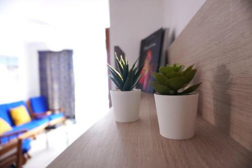 Apartamento Apto. Guacimeta, A 20m de La Playa.
