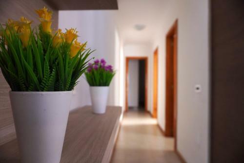 Apartamento Apto. Guacimeta, A 20m de La Playa.