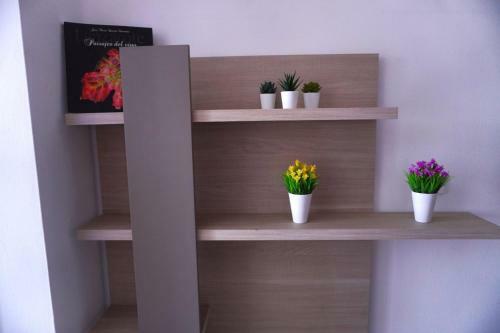 Apartamento Apto. Guacimeta, A 20m de La Playa.