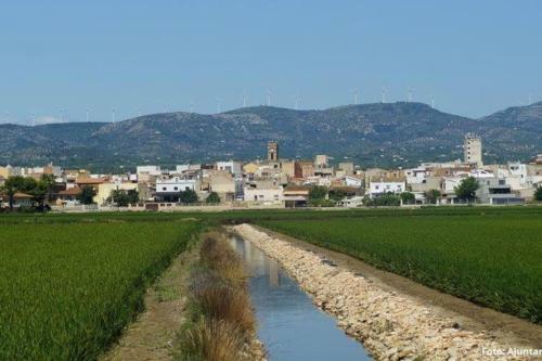 Apartamento Merc�, Delta Del Ebro, Entero