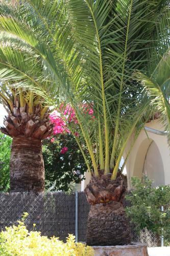 Villa Casa Caliente