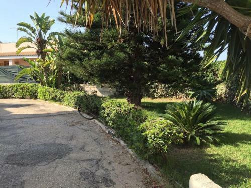 Villa Lara