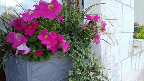 Le G�te De Nath