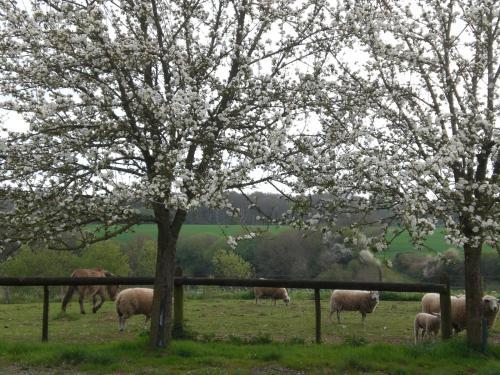 Hostal La Grange De Coat�lan