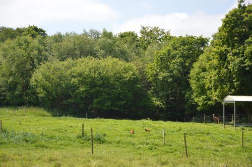 Hostal La Grange De Coat�lan
