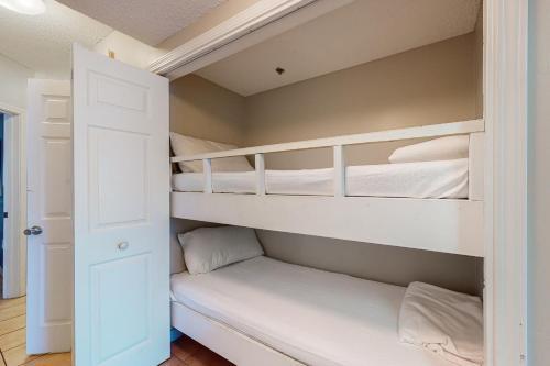 Caribbean 302