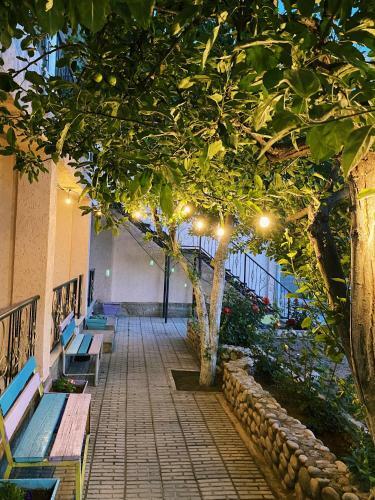 Hostal Homedom