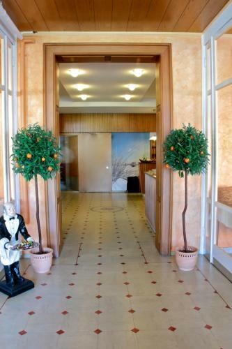 Hotel Thode