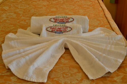 Hotel Parco Degli Ulivi