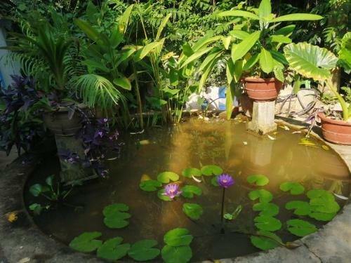 Hostal Kep Melting Potes
