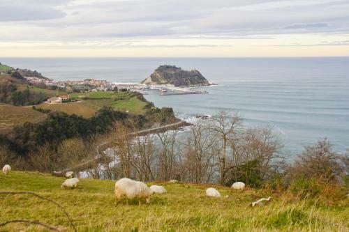 Hostal Pension Getariano