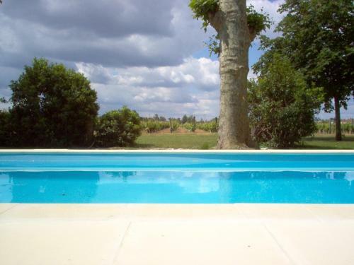 Hostal Ch�teau Des Grandes Vignes