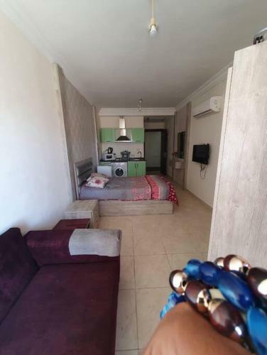 Apartamento Lovely 1-bedroom With Free Parking