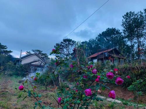 Romantic House On A Pine Hill Dalat