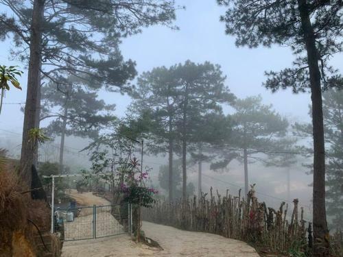 Romantic House On A Pine Hill Dalat