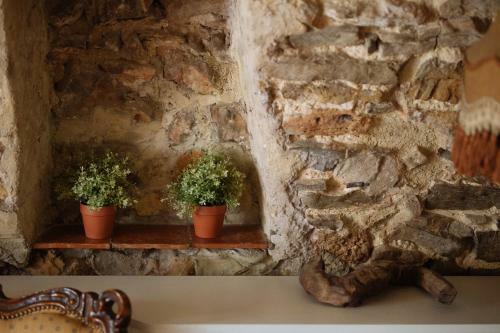 B&B Bastide Avellanne