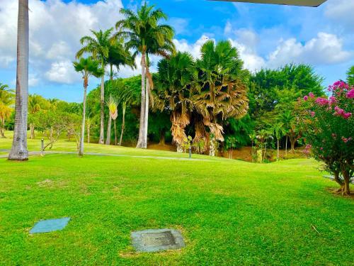 Apartamento Studio Cam�lia Acc�s Direct � La Plage H�tel Pierre&vacances ***