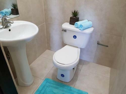 Apartamento Charming Condo In The City