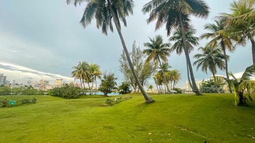 Villa Jungla Del Mar - Oceanfront City Apartment