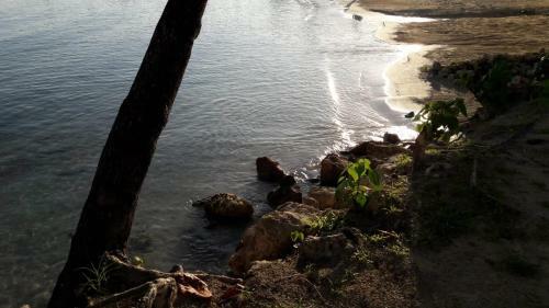 Apartamentos Sandcastles Resort