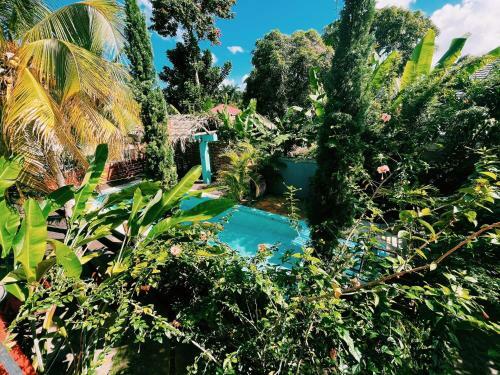 Hostal Hidden Gem @ White River Ocho Rios - Secluded Retreat For Two