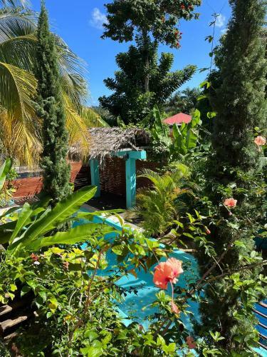 Hostal Hidden Gem @ White River Ocho Rios - Secluded Retreat For Two