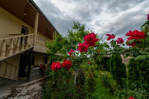 Hostal Big House Amoj Resort