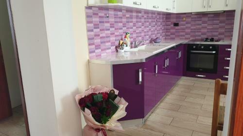 Renata's Apartment