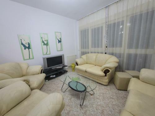 Apartament 37 In Bus Station