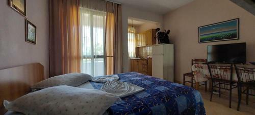 Hostal Villa Juvenilja