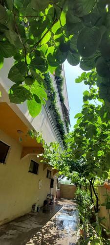 Hostal Villa Juvenilja