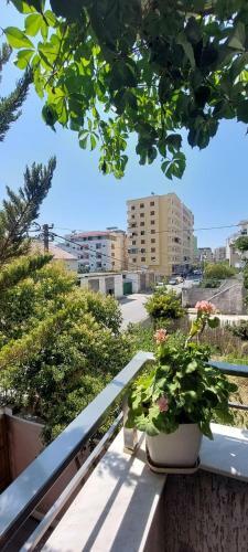 Hostal Villa Juvenilja