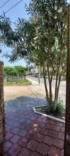 Hostal Villa Juvenilja