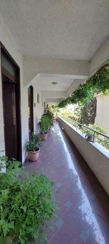 Hostal Villa Juvenilja