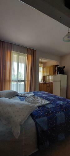 Hostal Villa Juvenilja