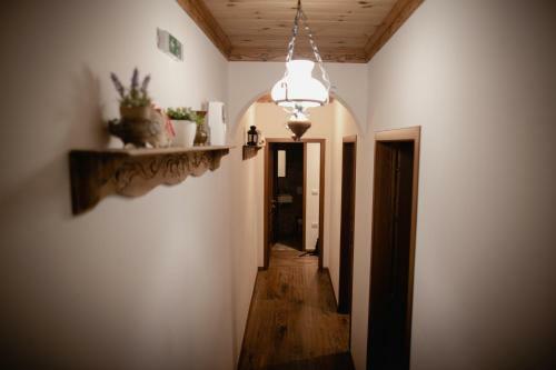 Hostal 4 Rooms Since 1950