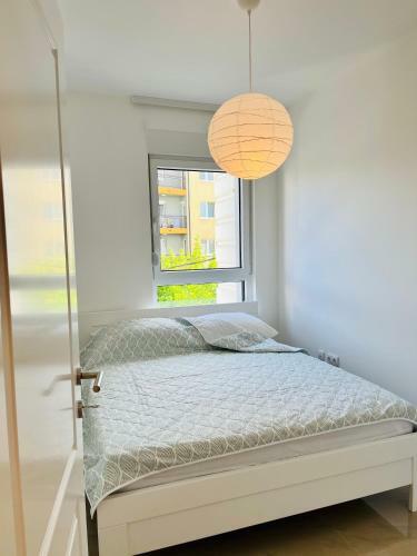 Oasis Apartments