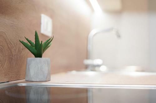 Roga Apartment Valamar