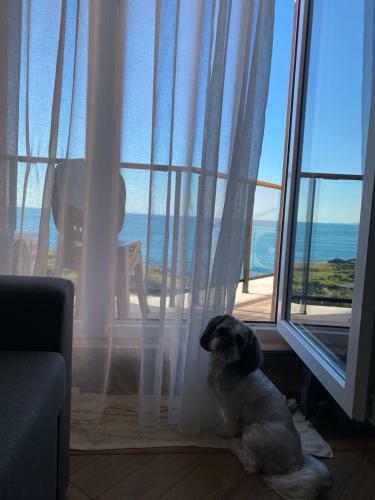 Apartamento Yungata Penthouse In Casa Paradiso , ??????
