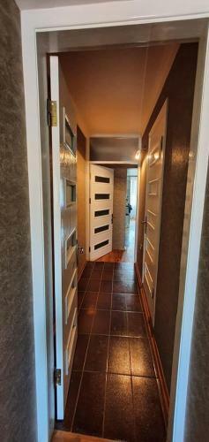 David's Luxury Apartment