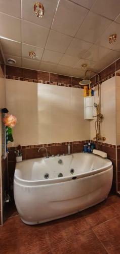David's Luxury Apartment