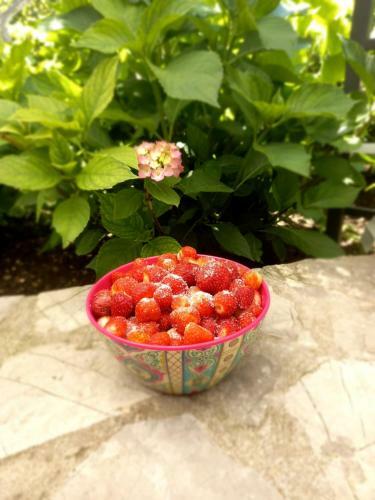 Apartamento White Queen