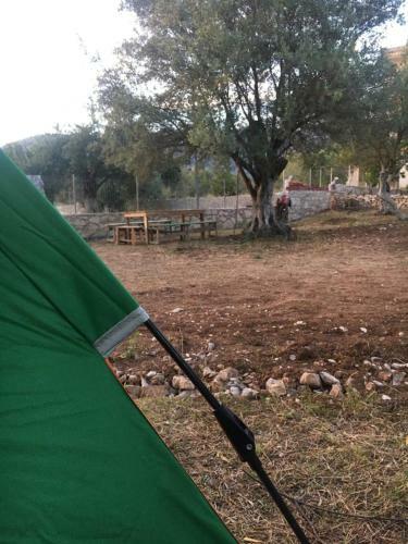 Olive Camping