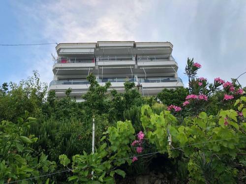 Family Apartments In Palas� Dh�rmi
