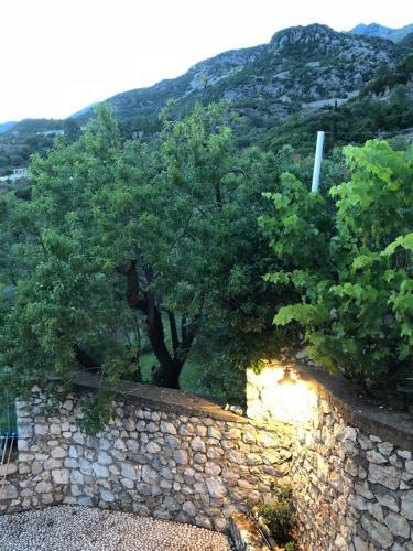 Family Apartments In Palas� Dh�rmi