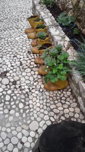 Family Apartments In Palas� Dh�rmi
