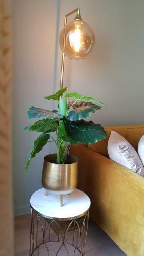 Apartamento Bnb Antwerpen - Chique